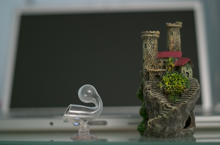 Aquariumgeschenke