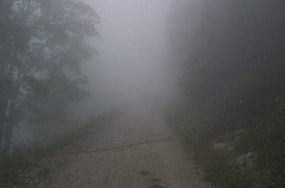 Nebel
