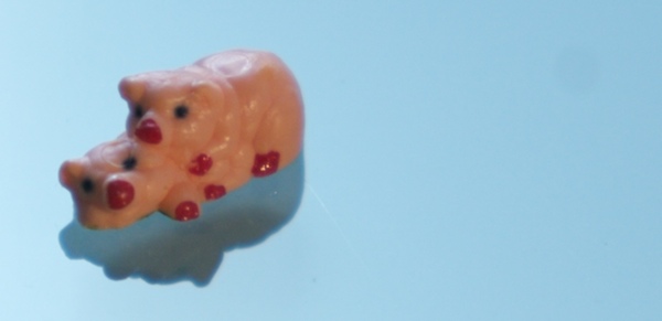zwei Ferkel beim Sex