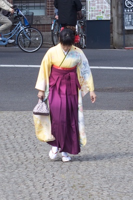 Japanese girl in a Kimono