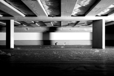 dust bunny under the bed