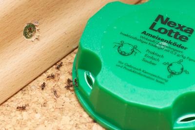 Ants avoiding poison